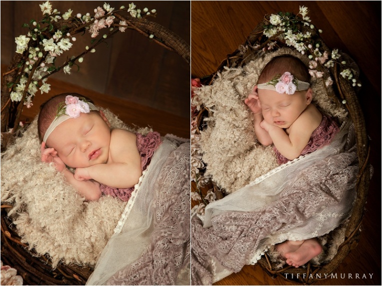 ashland ohio newborn photographer tiffany murray_0008