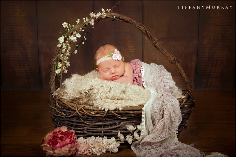ashland ohio newborn photographer tiffany murray_0010